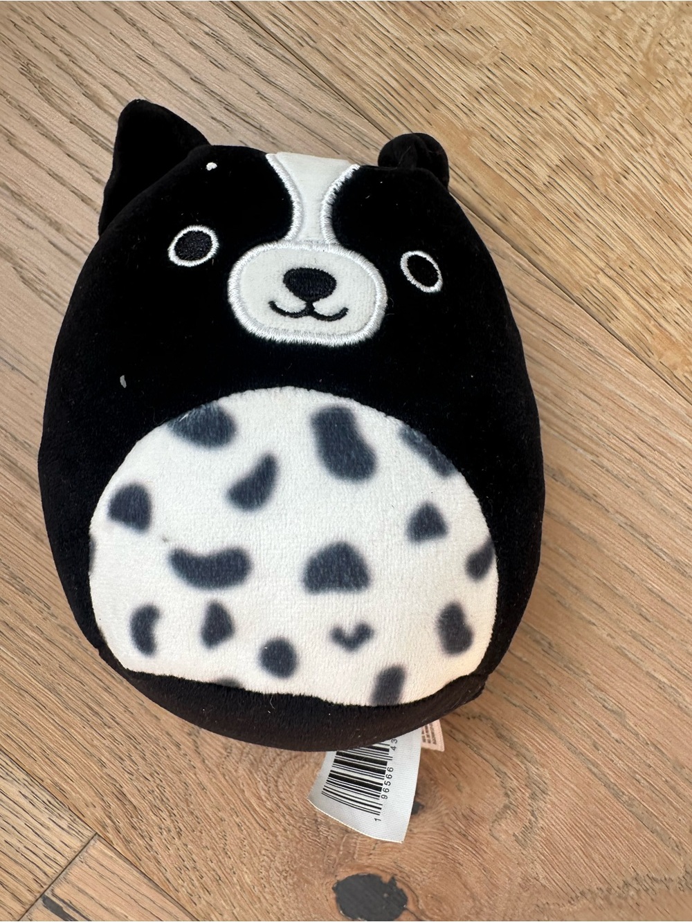 Squishmallows Monty the Border Collie Black and White Plush